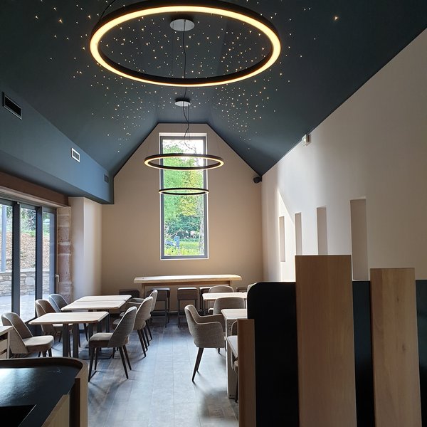 Murs et plafond sublimés avec soin pour un espace élégant et équilibré.